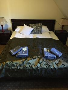 Double Room room in Dworska Elektrownia