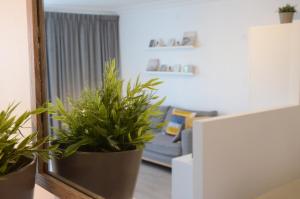 Studio Ostend Living