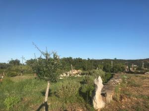 Villetta La Caletta img5