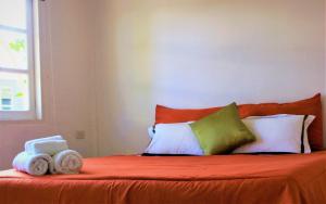 1715 House - White Rhino