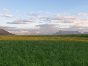 Schmiedbauergut Elixhausen, Mitten in der Natur