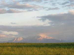 Schmiedbauergut Elixhausen, Mitten in der Natur