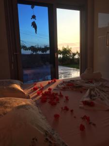 Sunset House
