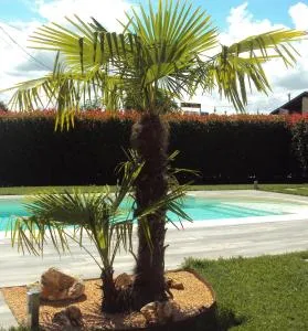 Springs Loft - Verrone