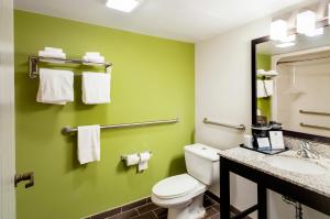 King Queen - Disability Access/Non-Smoking room in Quality Inn