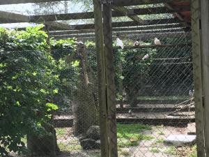 Familiehuis Boysen Appartementen