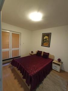 Apartman Savić