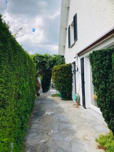 La vue sur Meuse de Wépion