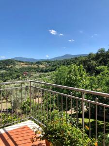 Il Casolare degli Alburni img7