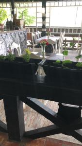 Complex Lions Bucovina