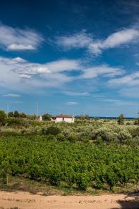 Sa tanca 'e Pedduzza img24