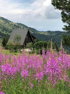 Chalets Camurac station 4 saisons Chalet les Dalmatiens : photos des chambres