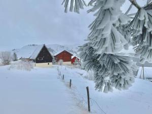 Chalets Camurac station 4 saisons Chalet les Dalmatiens : photos des chambres