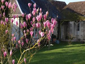 Maisons d'hotes Le Petit Villandry : photos des chambres