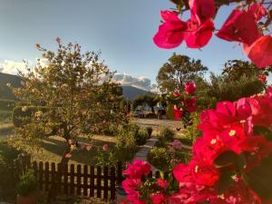 Apartments Katerina by the sea