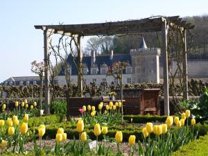 Maisons d'hotes Le Petit Villandry : photos des chambres