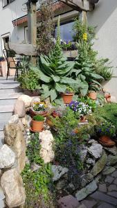 Ferienwohnung Tetzlaff