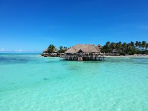 Reef & Beach Resort - Spa Jambiani