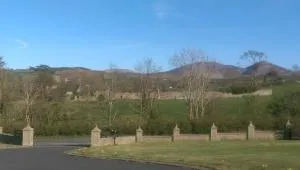 Lyza's Loft - Square