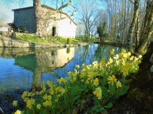 B&B / Chambres d'hotes Le Petit Moulin Tournesol BnB : photos des chambres