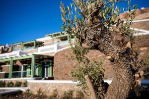 EmGard Suites Kythnos Kythnos Greece