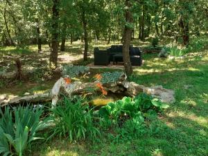 Bed and breakfast Julia