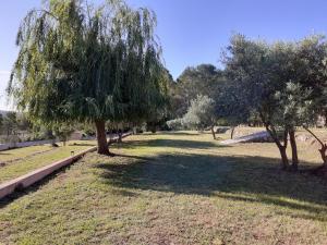 B&B / Chambres d'hotes La Bastide Des Selves : photos des chambres