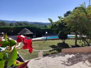 B&B / Chambres d'hotes La Bastide Des Selves : photos des chambres