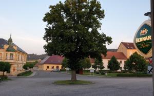 UBYTOVÁNÍ V SOUKROMÍ Mlázovice