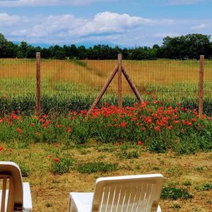 Porte di Venezia, Tessera Aeroporto