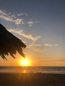 Los Cocos de Vichayito