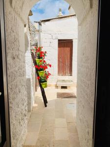 Trulli Family - Trulli&Cummerse