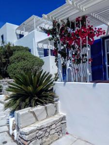 Nicos Studios & Apartments Paros Greece