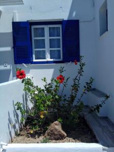 Nicos Studios & Apartments Paros Greece