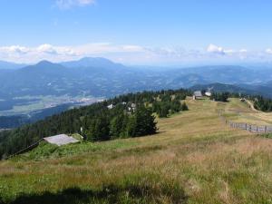 Apartmaji Snežinka Kope