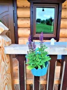 Domki,,Chatki Góralskie "