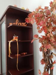 Nica Apartman Novi Sad