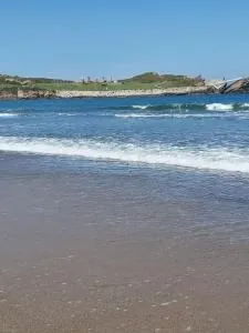 Salimar 23 - Naveces