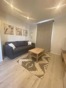 Joli studio calme et lumineux - 奥尔西讷