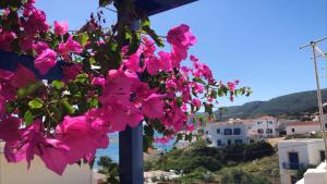 Pelagia Beach Studios Kythira Greece