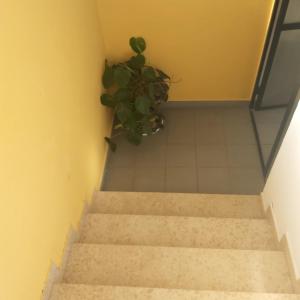 SUZANA Beautiful balcony sea view 1