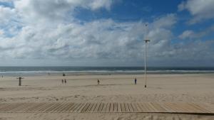 Maisons de vacances UN HAVRE DE PAIX DANS LES PINS SOULACAIS : photos des chambres