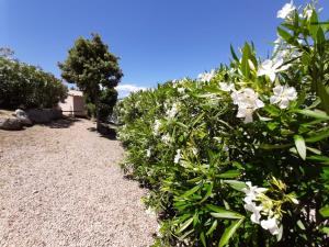 Hotels SOLE DI DUME : photos des chambres