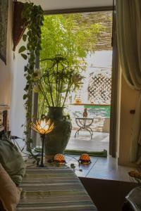Cerasiello Apartment