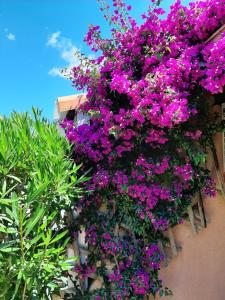 43-2 LES MAISONS DU RIVAGE BLEU