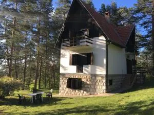 Zlatiborska kuća u šumi - Dobroselica