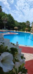 Hotel Damia Corfu Greece