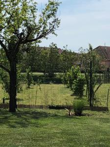 Villa Dolne Saliby