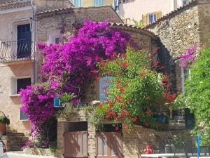 Appartements maison de vacances Medievale Bormes-les-Mimosas village : photos des chambres