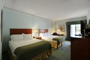 Queen Room with Two Queen Beds room in Holiday Inn Express Tampa North Telecom Park an IHG Hotel